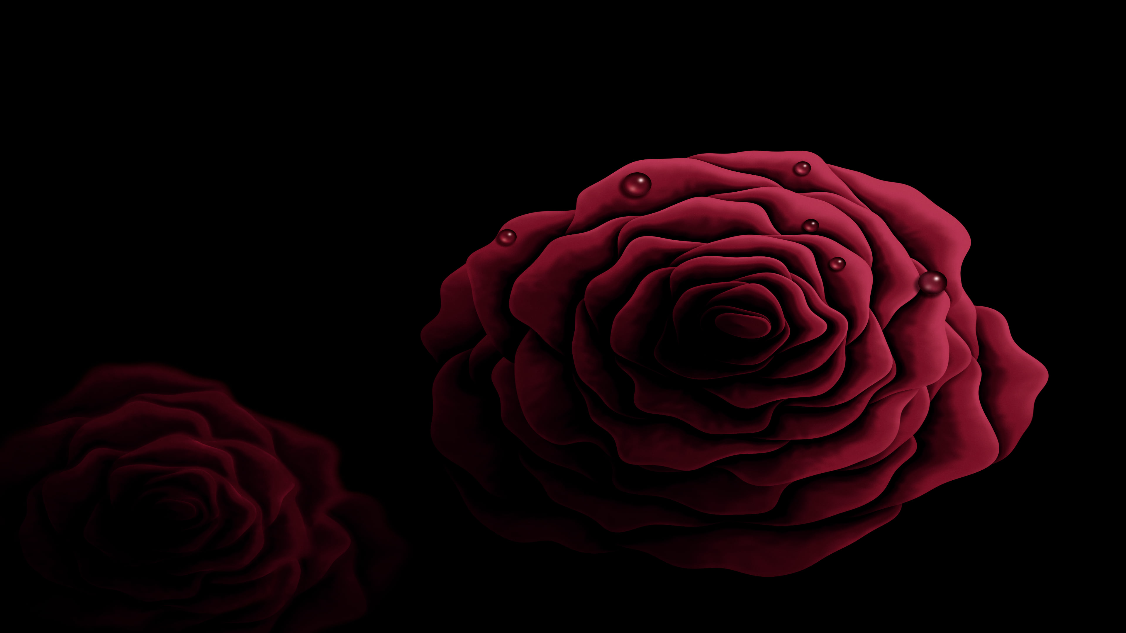 Dark Red Rose with Dew Drops desktop wallpaper in 4K