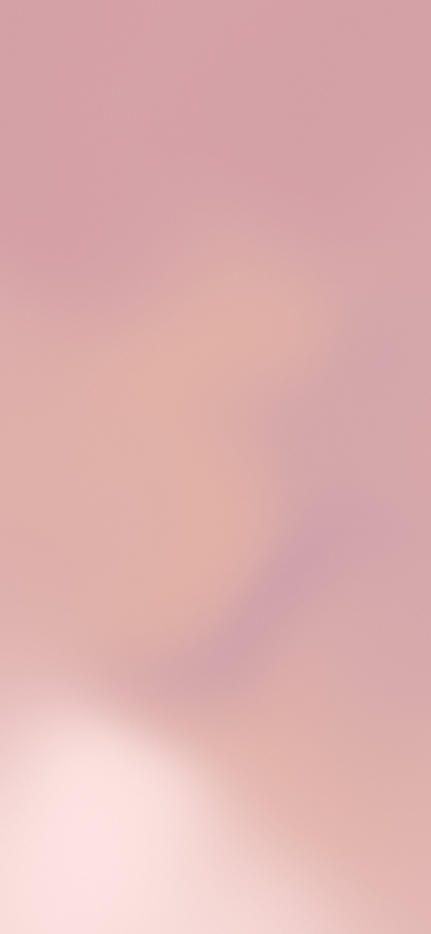 Dusty Rose Mesh Gradient wallpaper for iPhone and Android