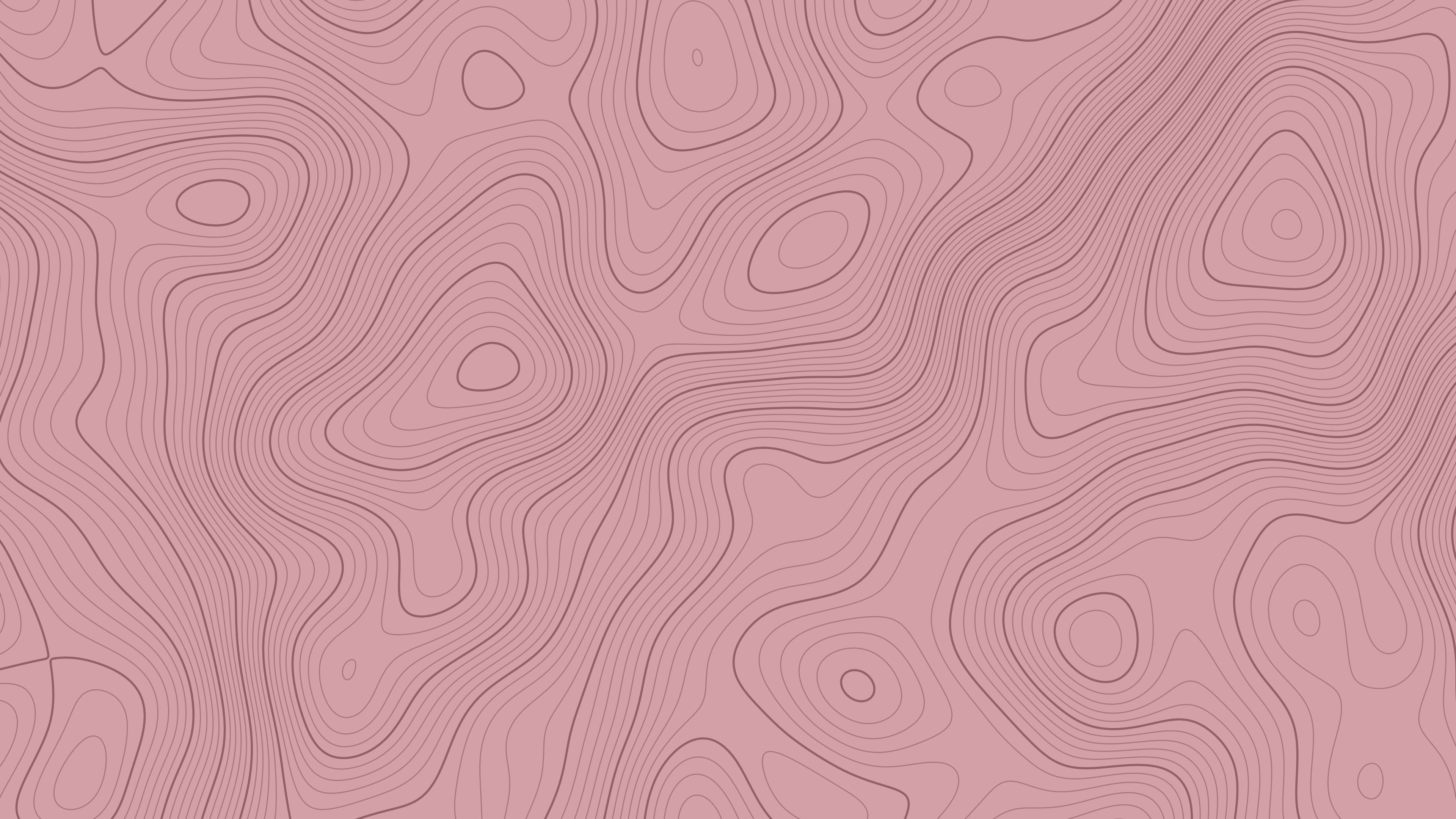 Dusty Rose Topographic Line desktop wallpaper in 4K