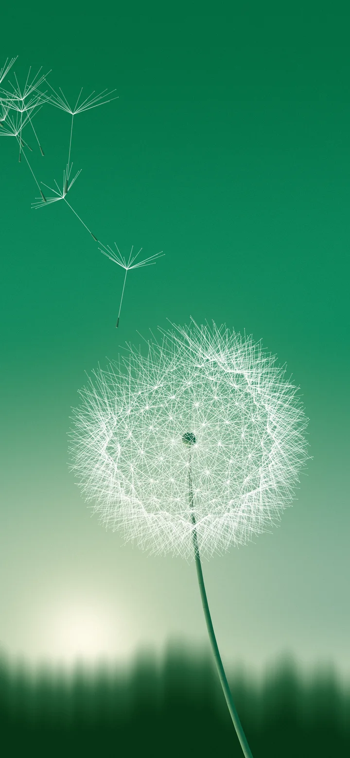 Emerald Dandelion wallpaper for iPhone and Android