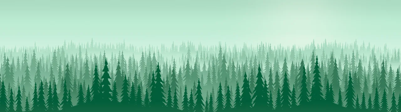 Emerald Misty Pine Forest dual monitor wallpaper, 7680 × 2160