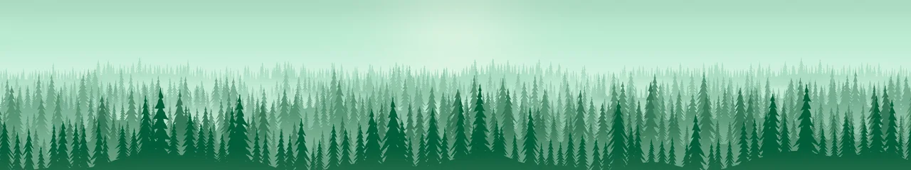 Emerald Misty Pine Forest triple monitor wallpaper, 7680 × 1440