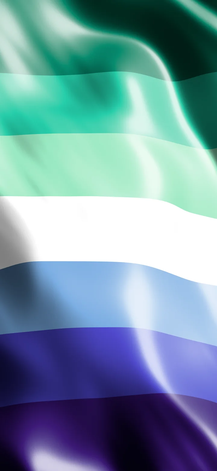 Gay Silk Pride Flag wallpaper for iPhone and Android
