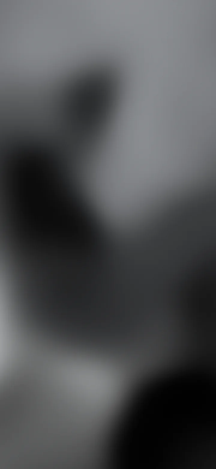 Gray and Black Mesh Gradient wallpaper for iPhone and Android