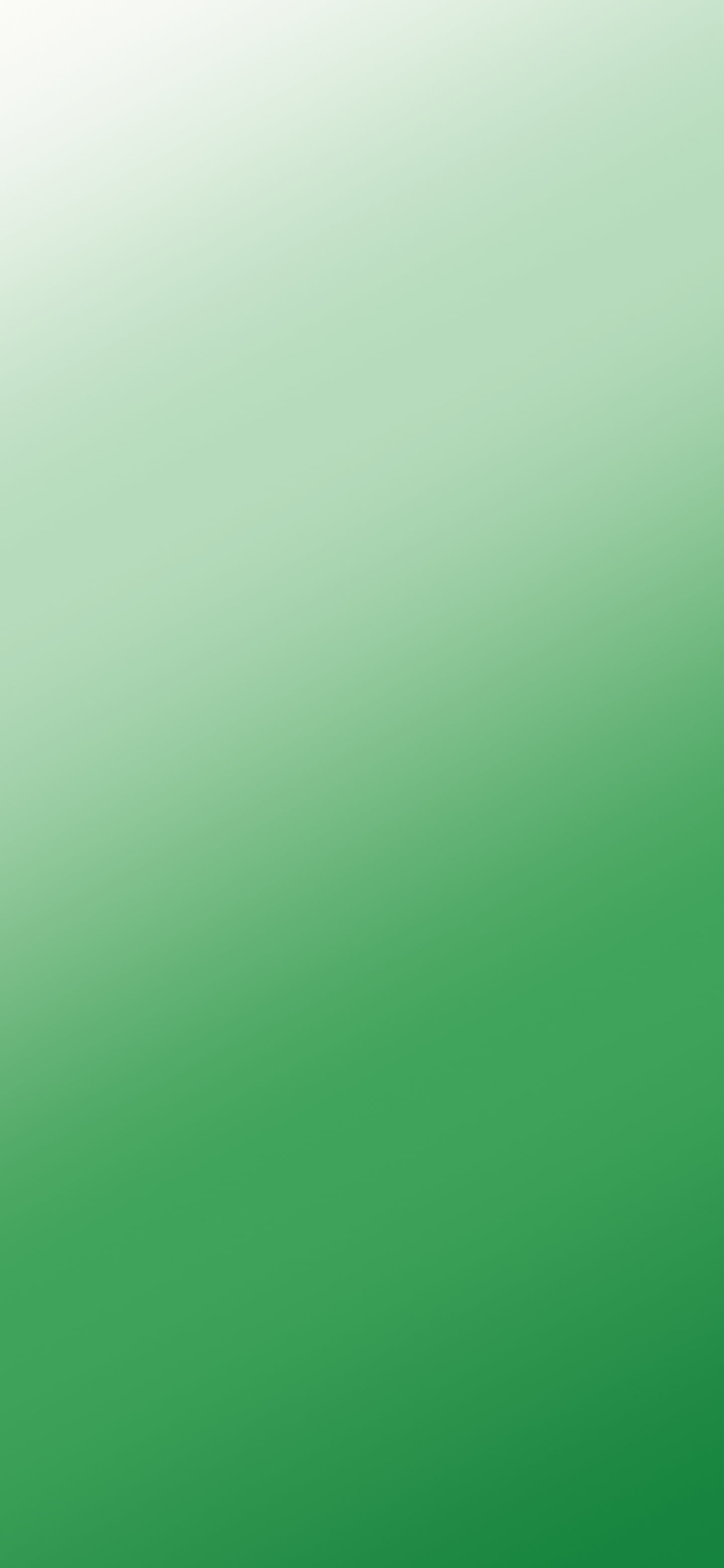 Green and White Diagonal Ombre Gradient wallpaper for iPhone and Android