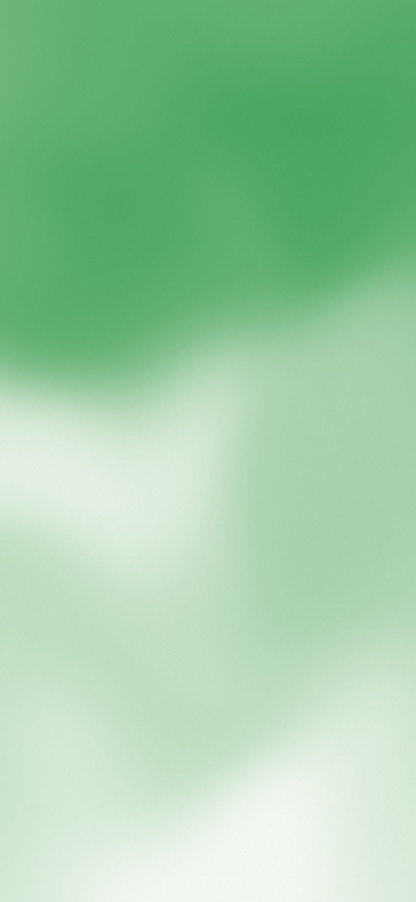 Green and White Mesh Gradient wallpaper for iPhone and Android