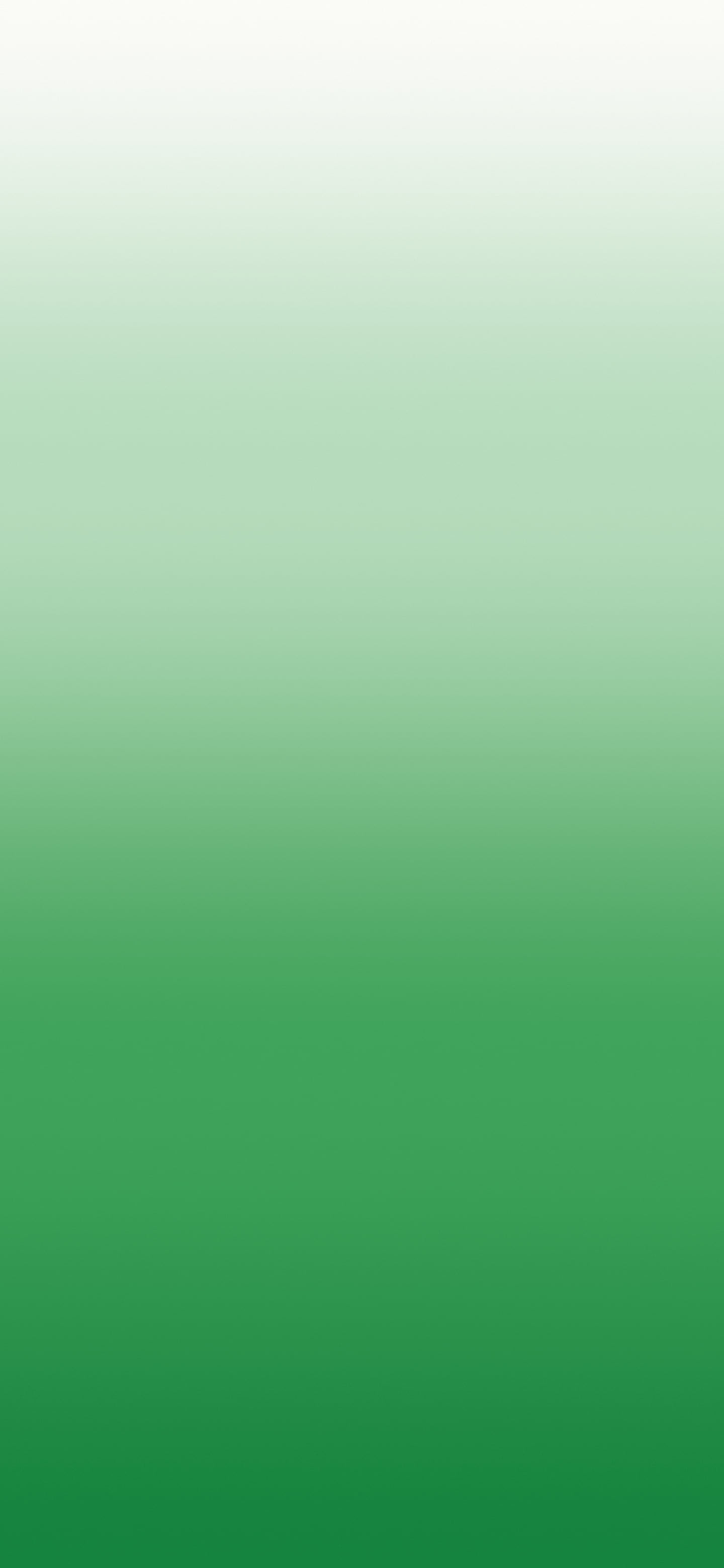 Green and White Ombre Gradient wallpaper for iPhone and Android