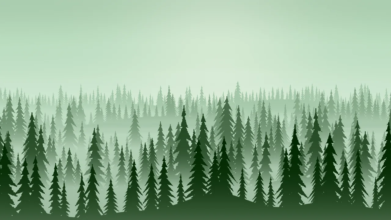Green Misty Pine Forest desktop wallpaper in 4K