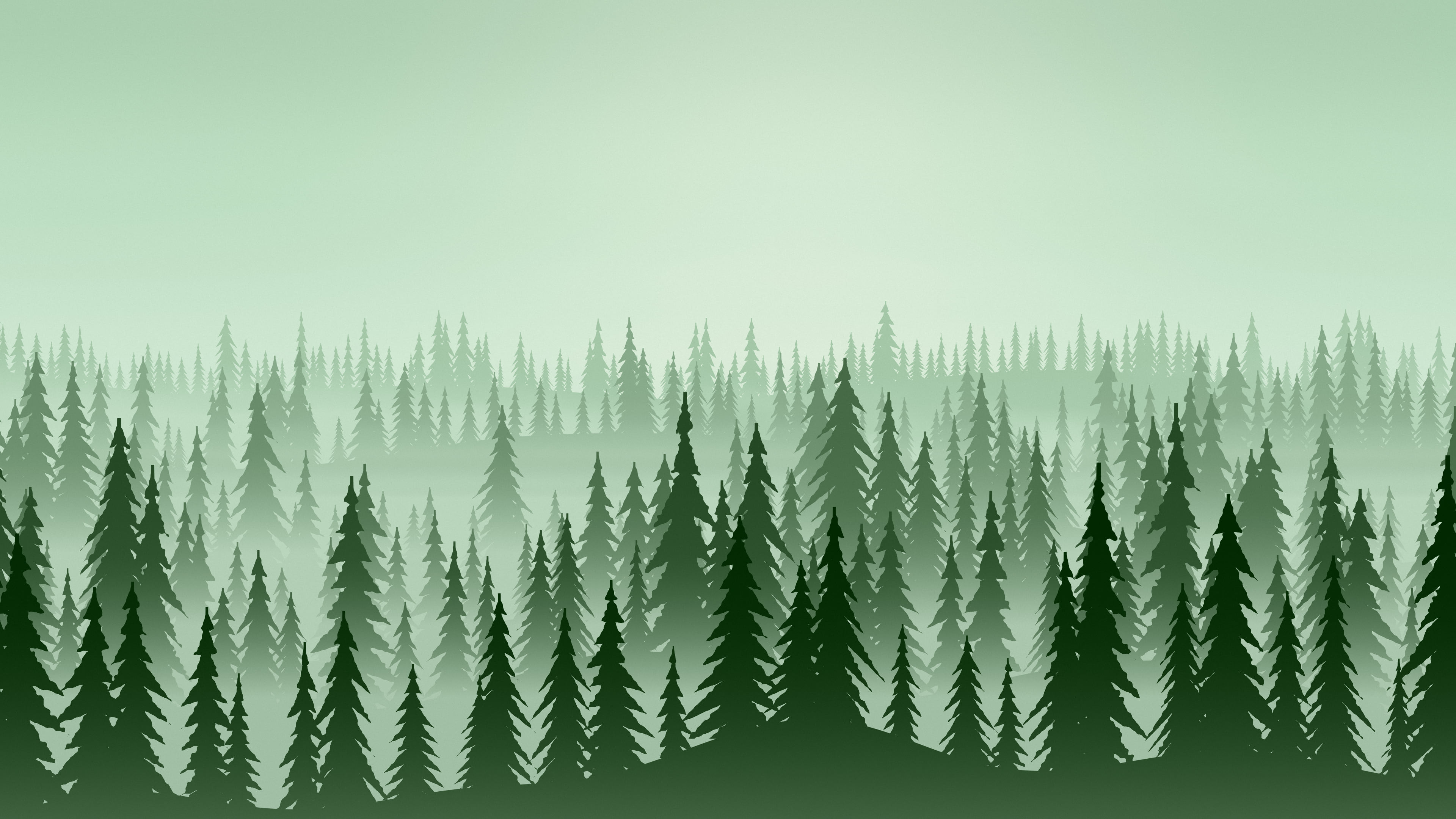 Green Misty Pine Forest desktop wallpaper in 4K