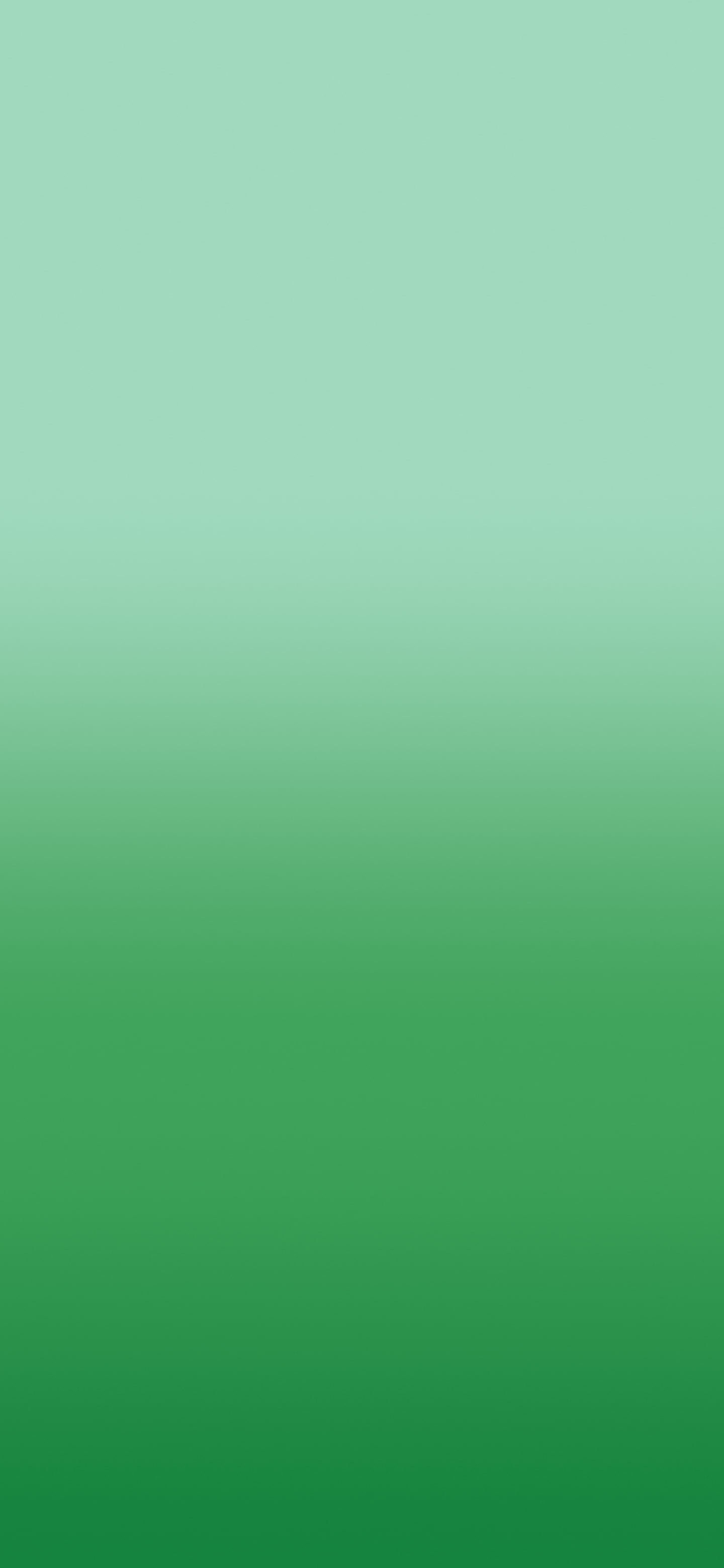 Green Ombre Gradient wallpaper for iPhone and Android