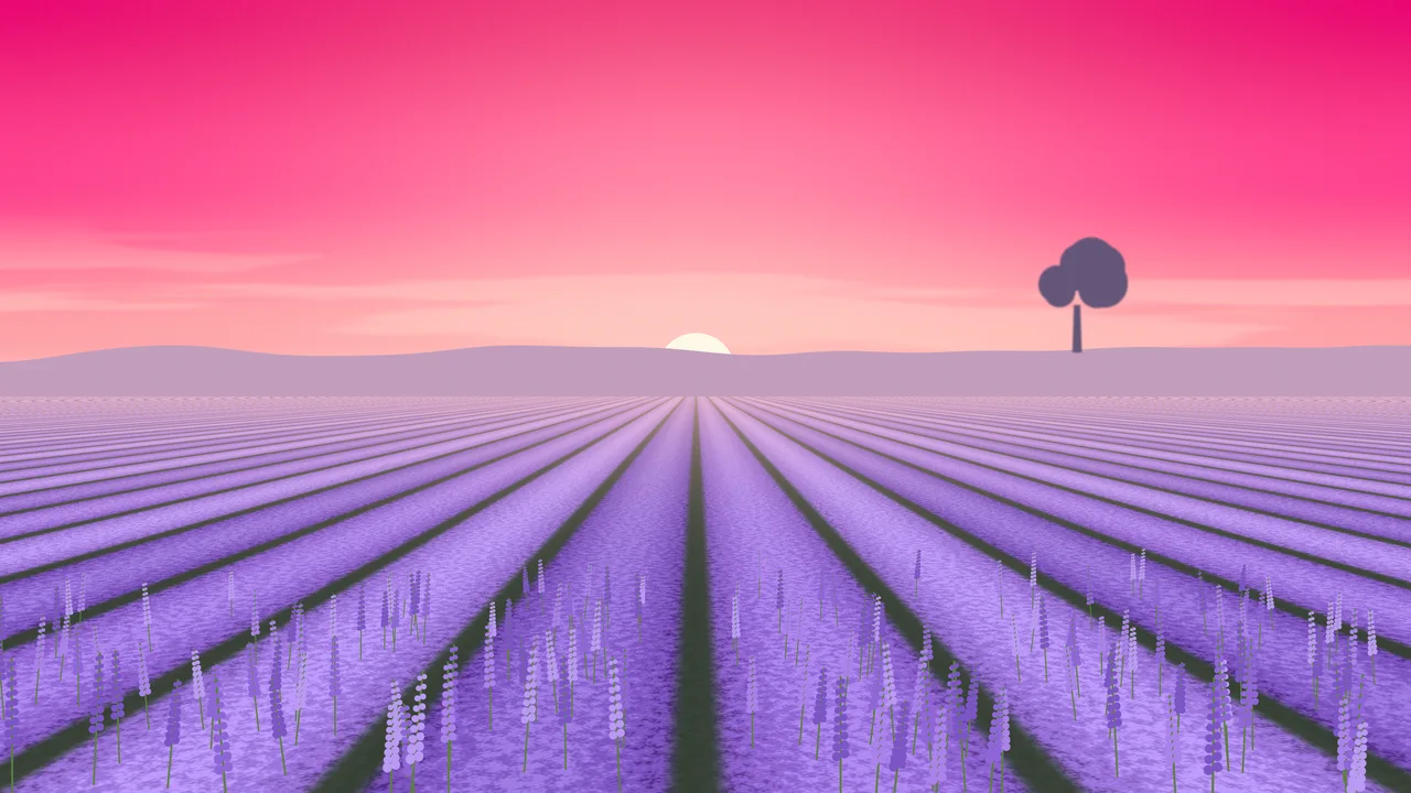 Hot Pink Lavender Field desktop wallpaper in 4K