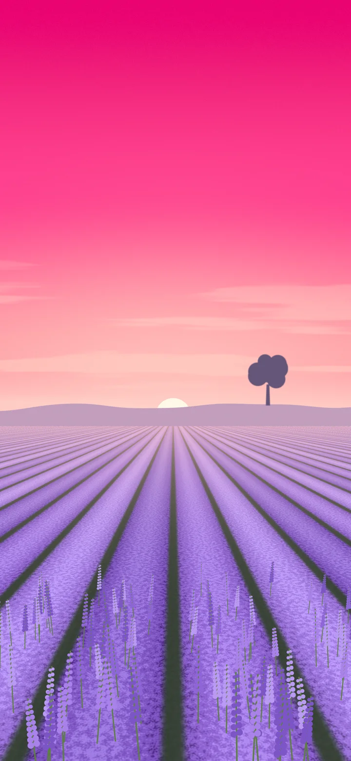 Hot Pink Lavender Field wallpaper for iPhone and Android