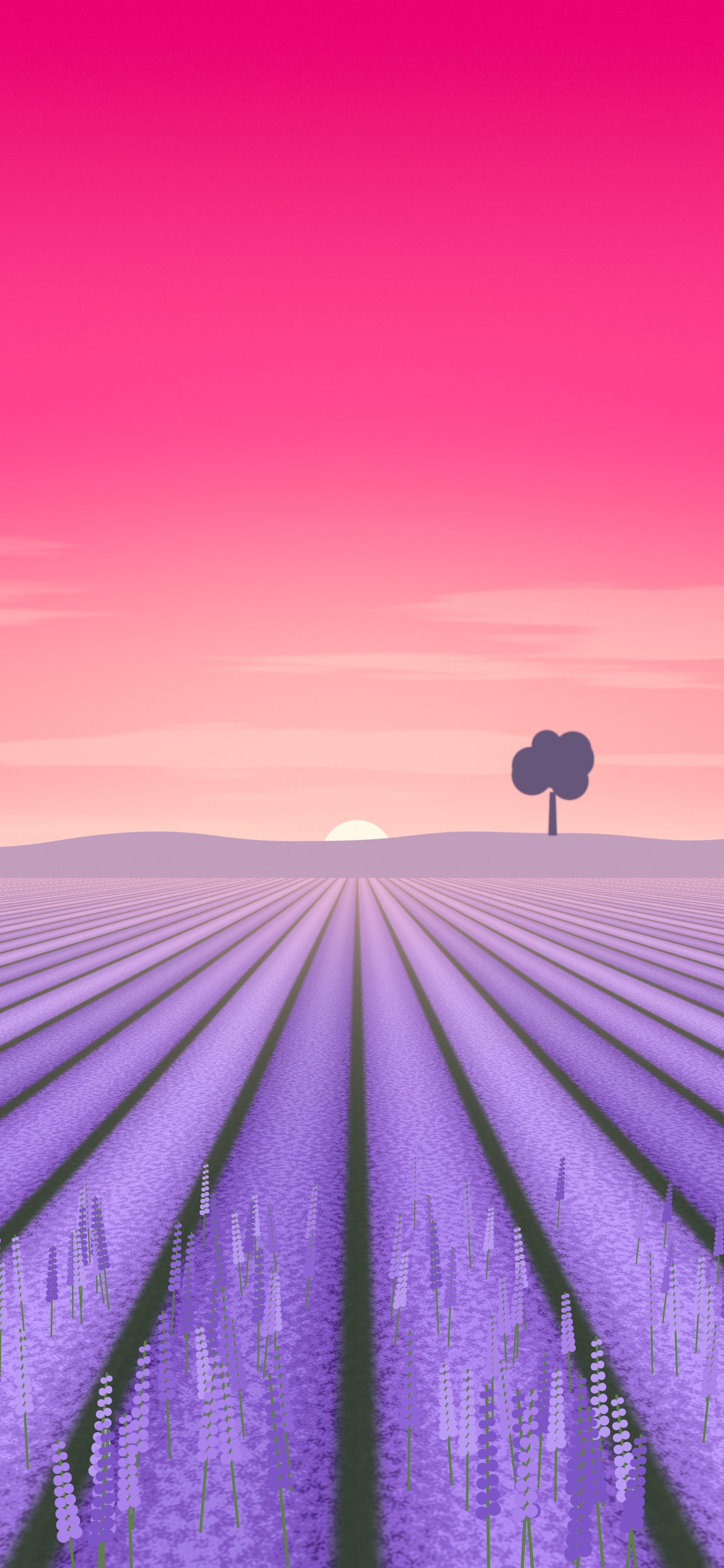 Hot Pink Lavender Field wallpaper for iPhone and Android