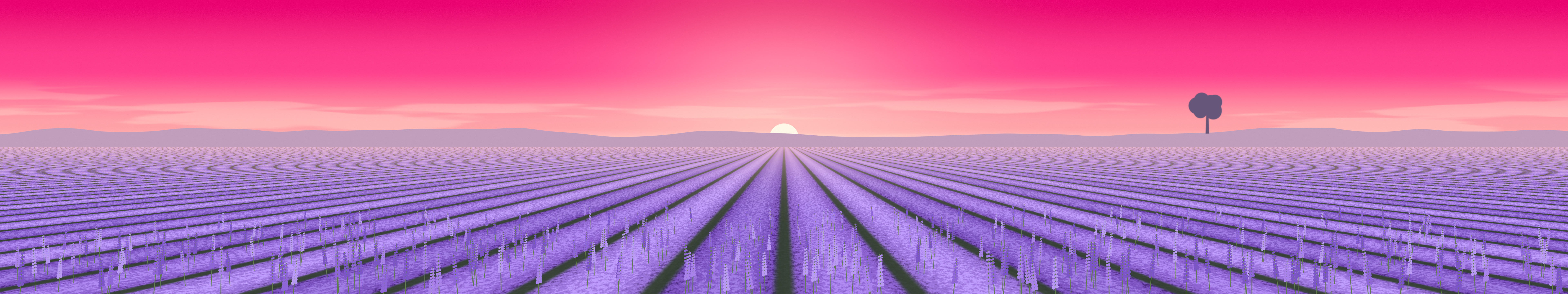Hot Pink Lavender Field triple monitor wallpaper, 7680 × 1440