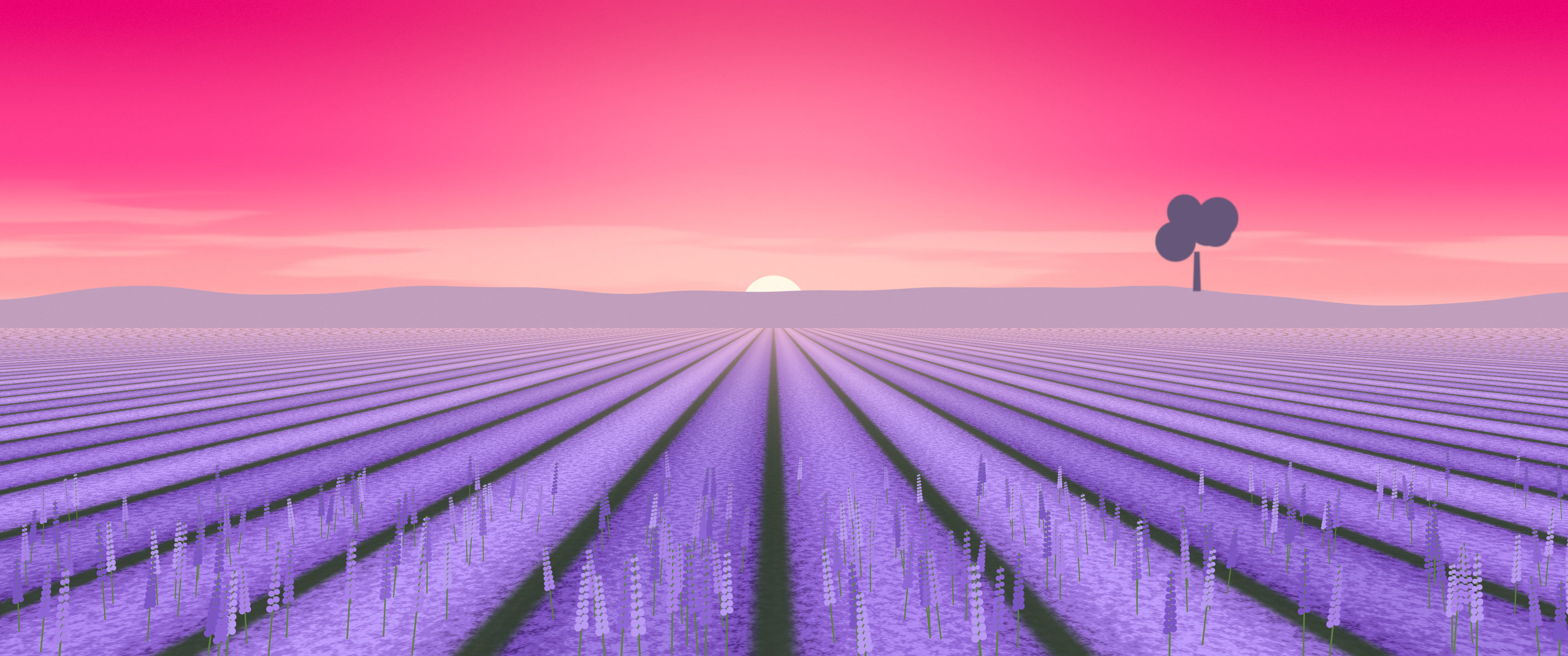 Hot Pink Lavender Field ultrawide wallpaper, 3440 × 1440