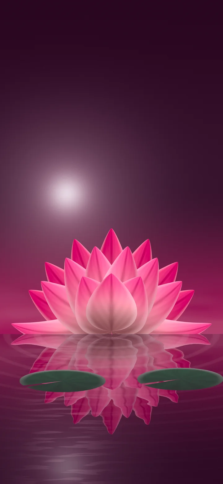 Hot Pink Lotus Flower wallpaper for iPhone and Android