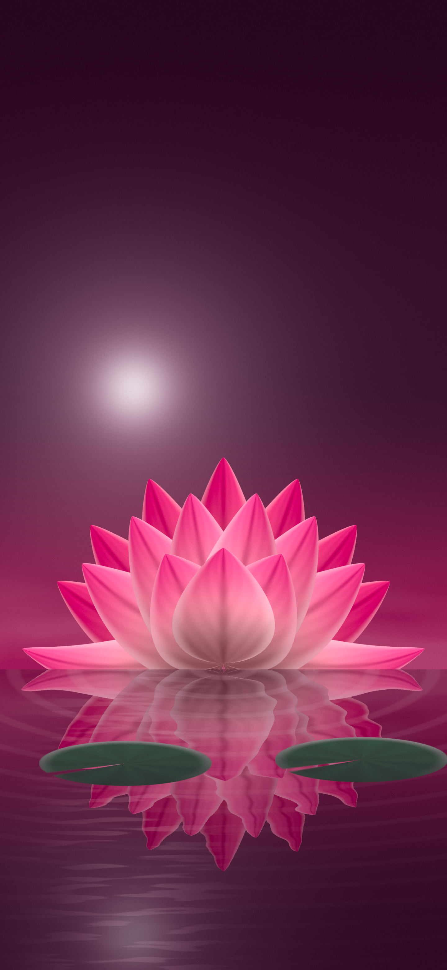 Hot Pink Lotus Flower wallpaper for iPhone and Android