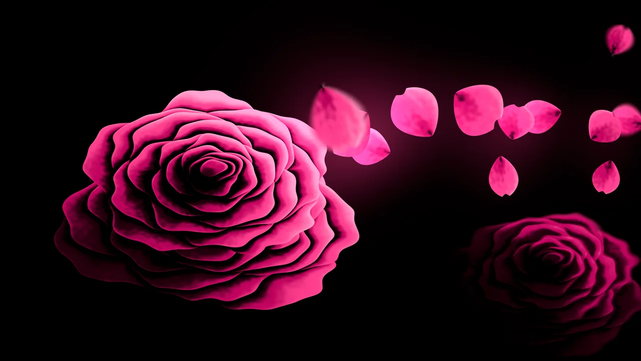 Hot Pink Rose and Floating Petals desktop wallpaper in 4K