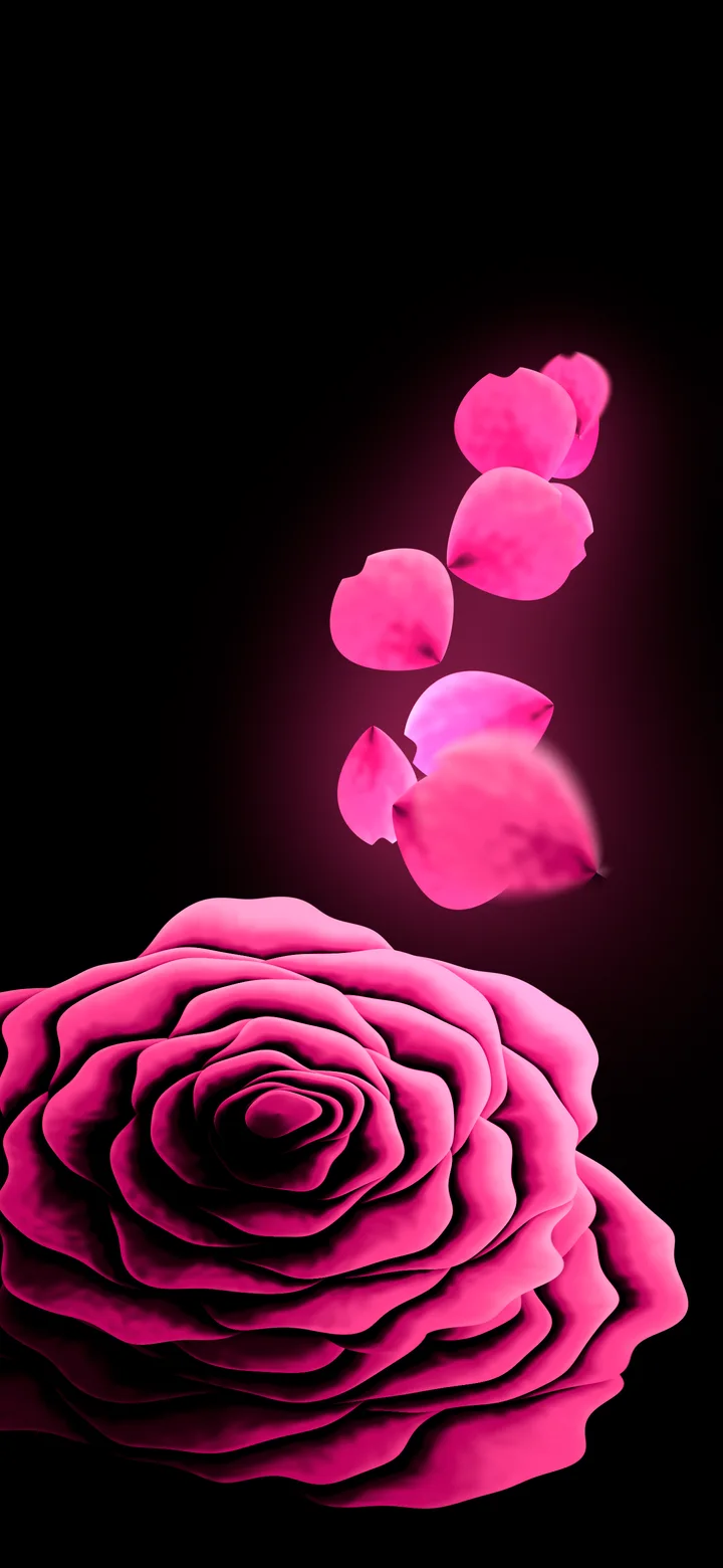 Hot Pink Rose and Floating Petals wallpaper for iPhone and Android