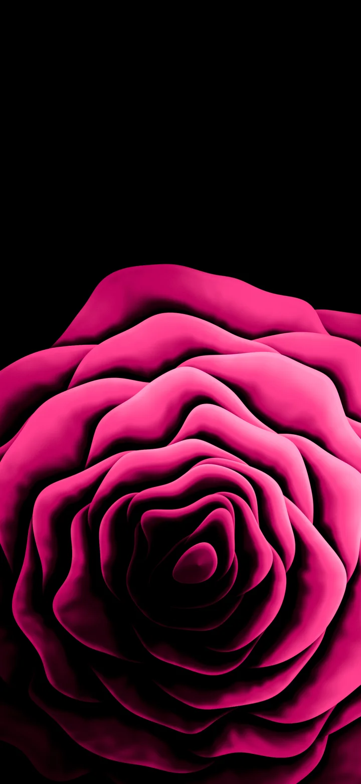Hot Pink Rose from Above wallpaper for iPhone and Android