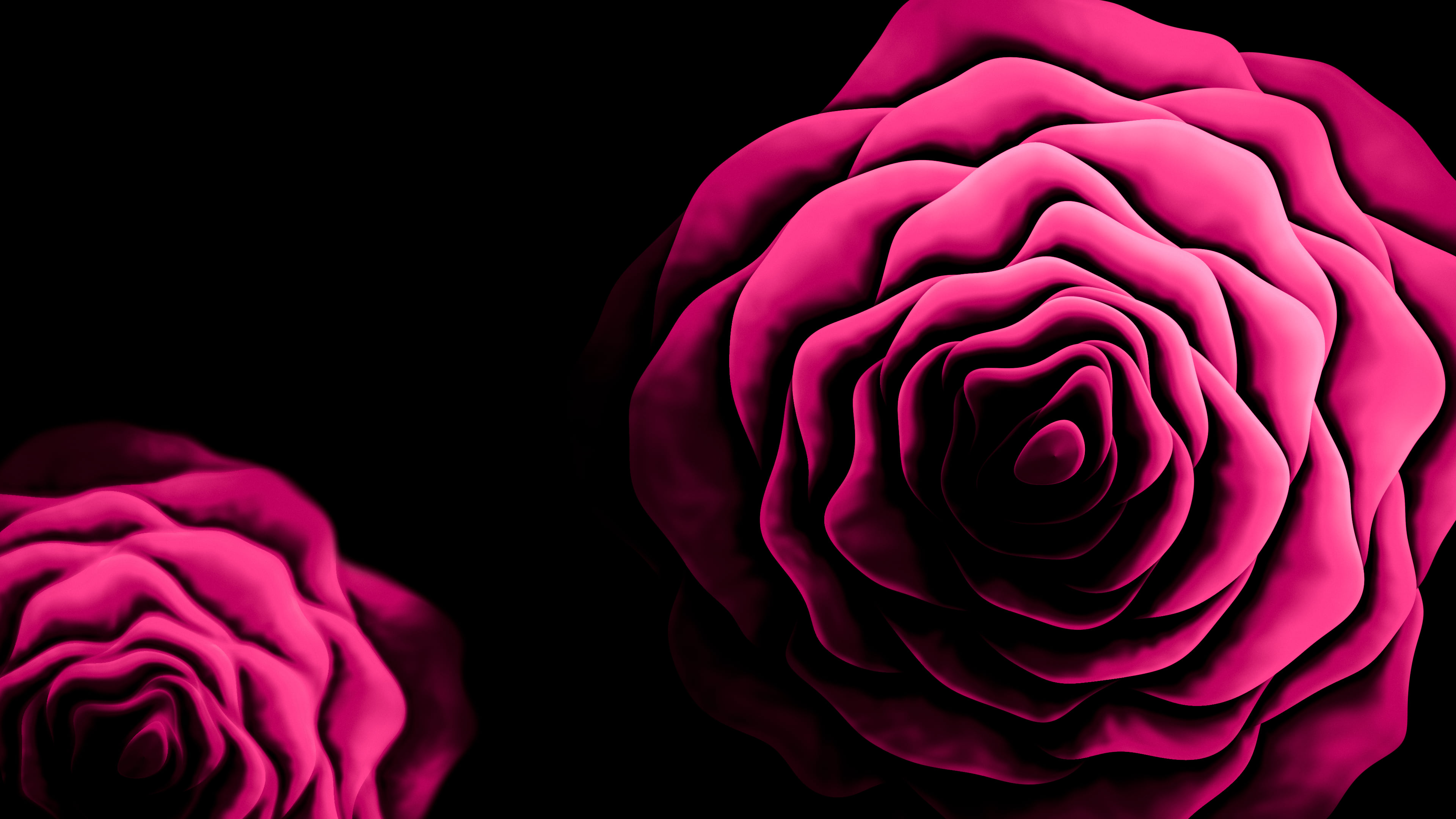 Hot Pink Rose from Above desktop wallpaper in 4K