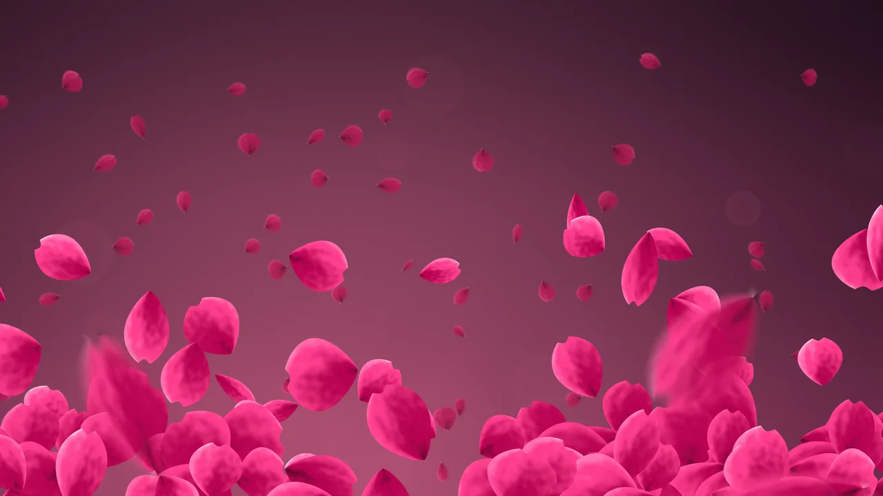 Hot Pink Rose Petals desktop wallpaper in 4K