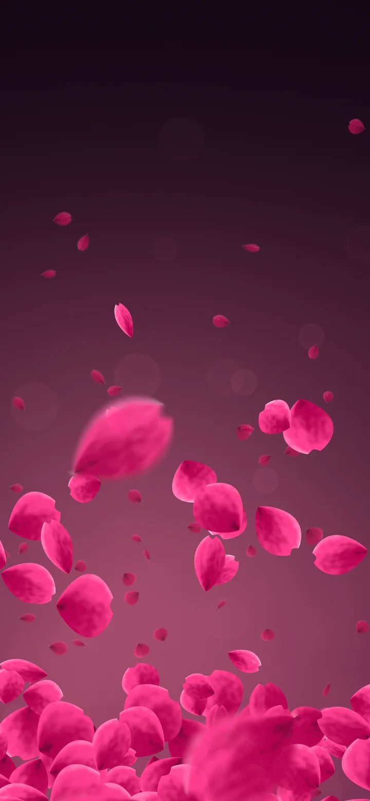Hot Pink Rose Petals wallpaper for iPhone and Android