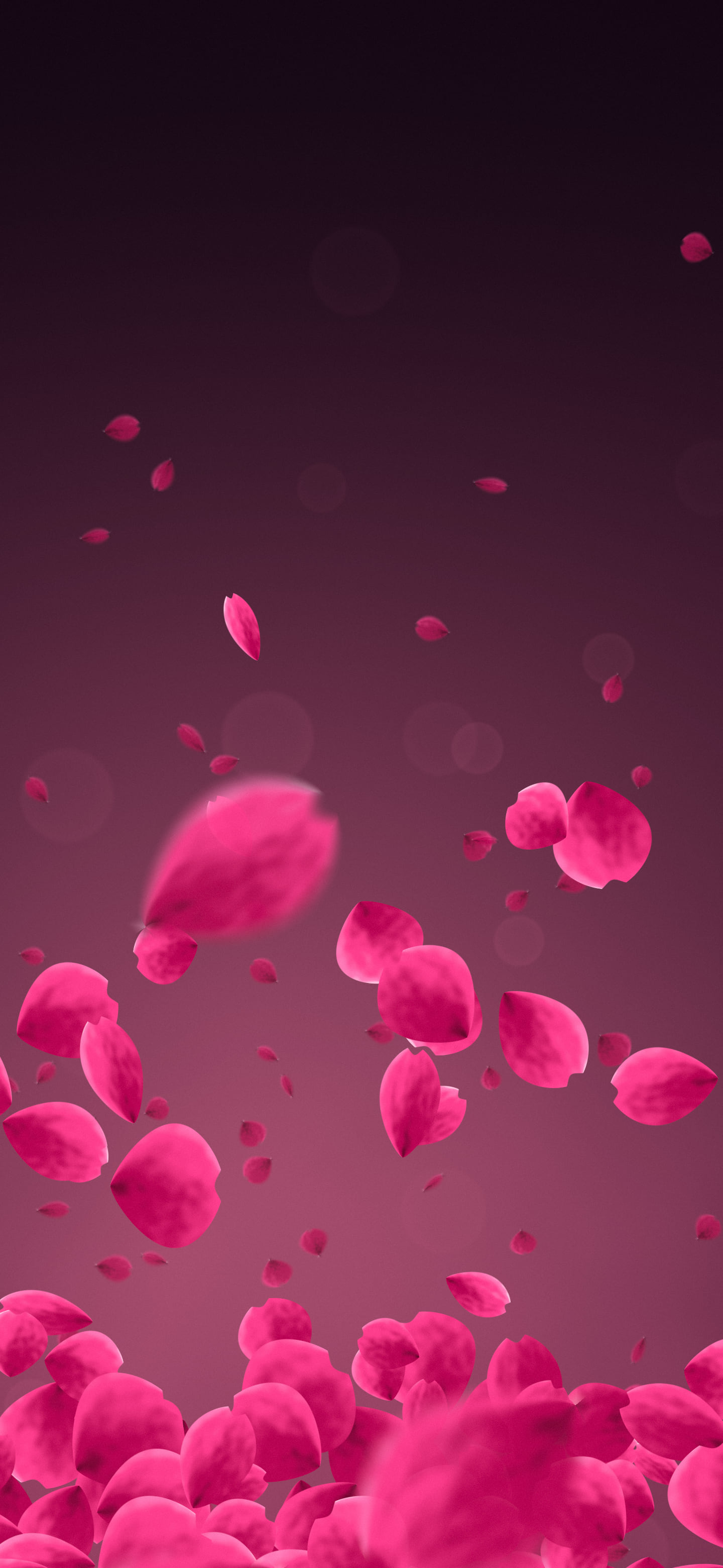Hot Pink Rose Petals wallpaper for iPhone and Android