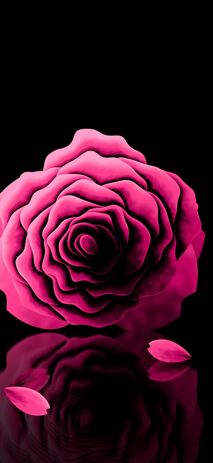 Hot Pink Rose Reflection wallpaper for iPhone and Android