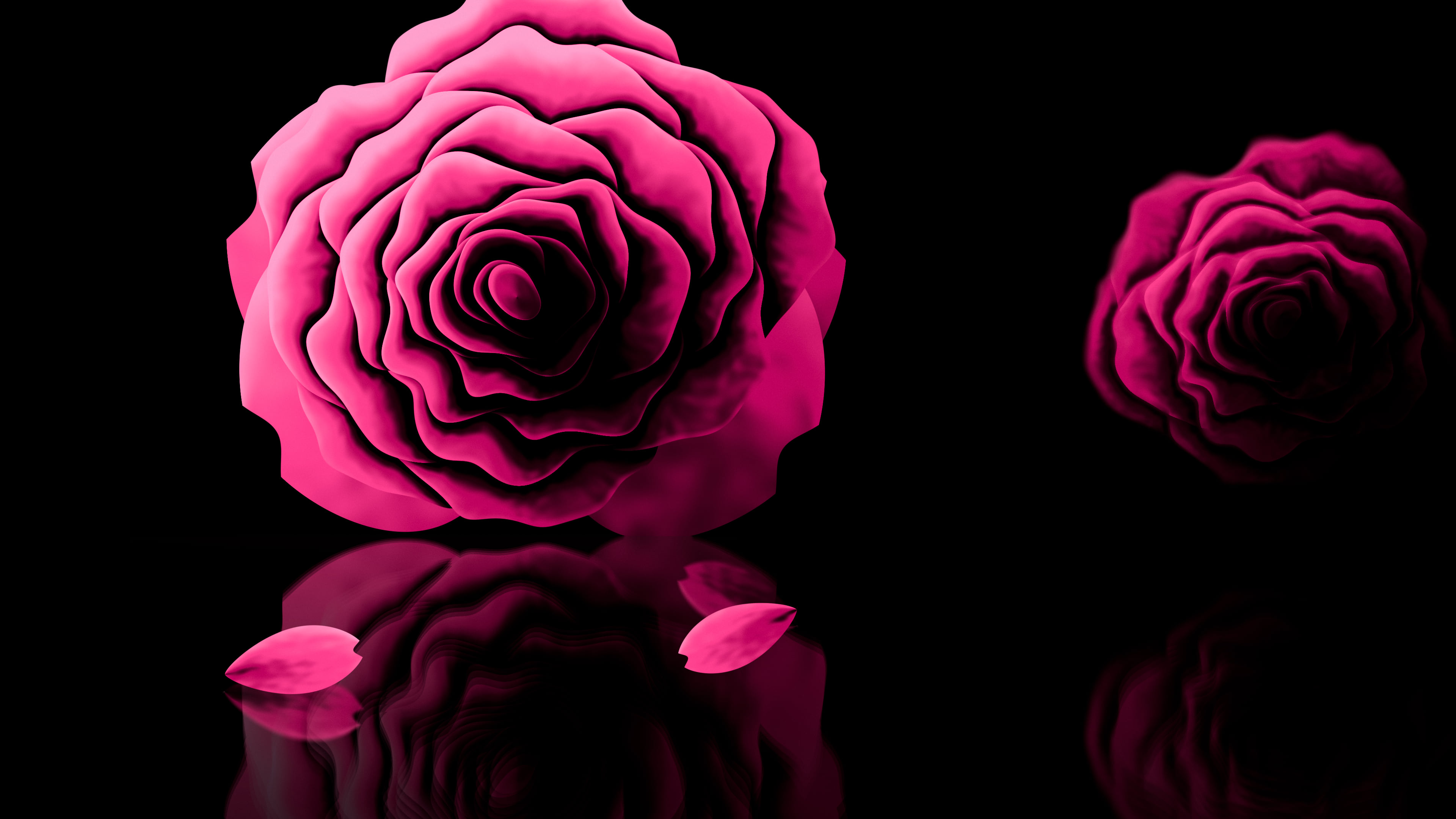 Hot Pink Rose Reflection desktop wallpaper in 4K