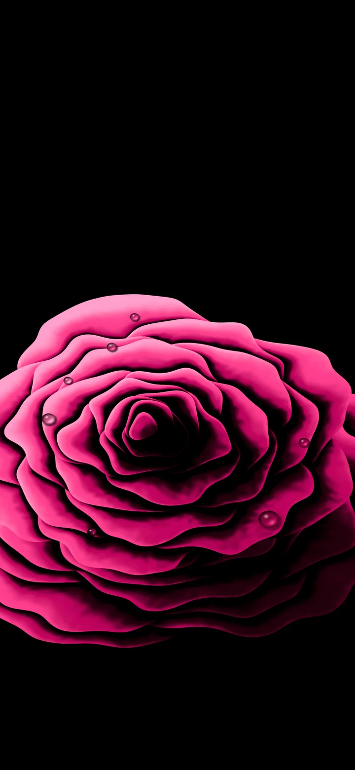 Hot Pink Rose with Dew Drops wallpaper for iPhone and Android