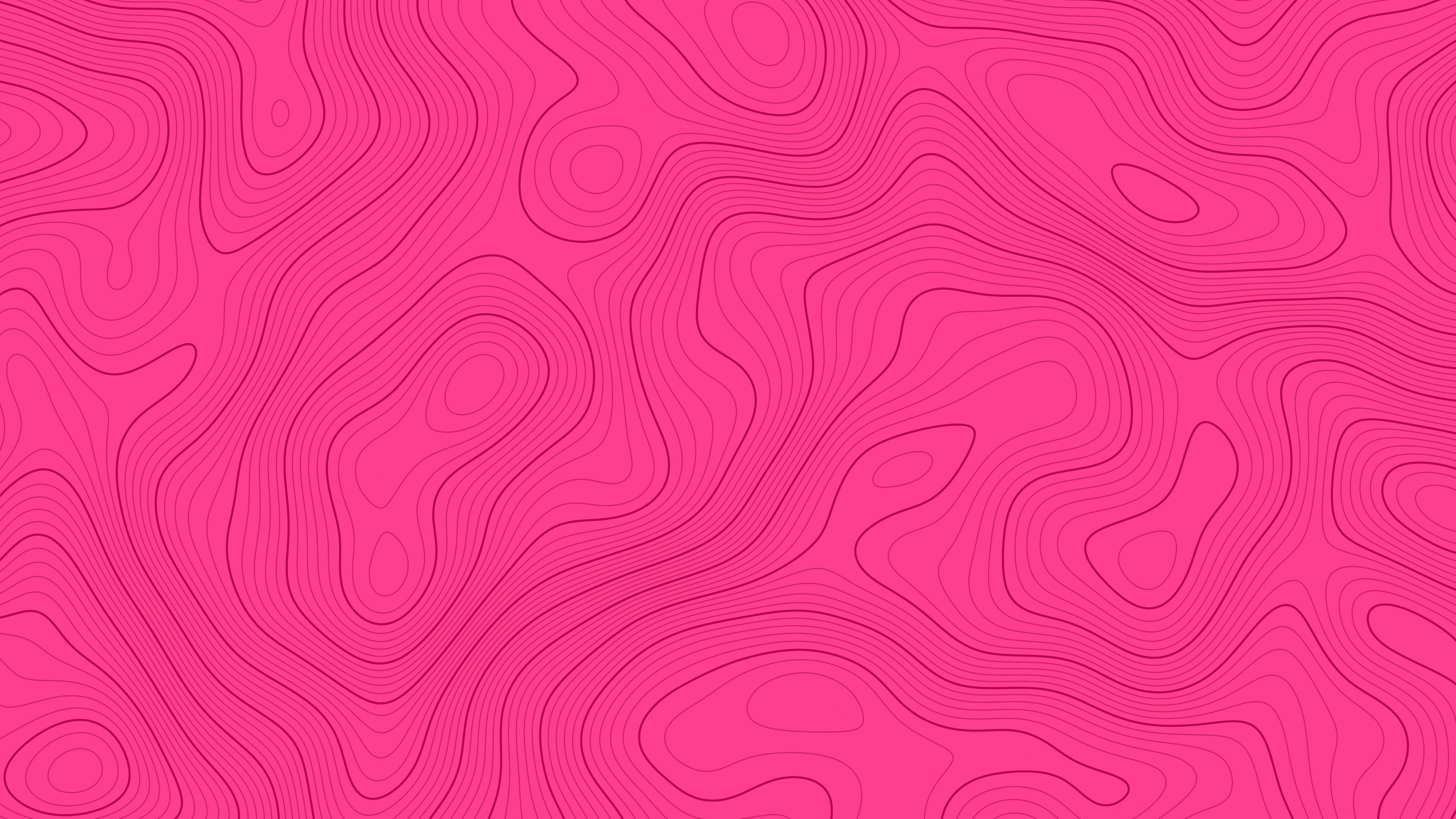Hot Pink Topographic Line desktop wallpaper in 4K