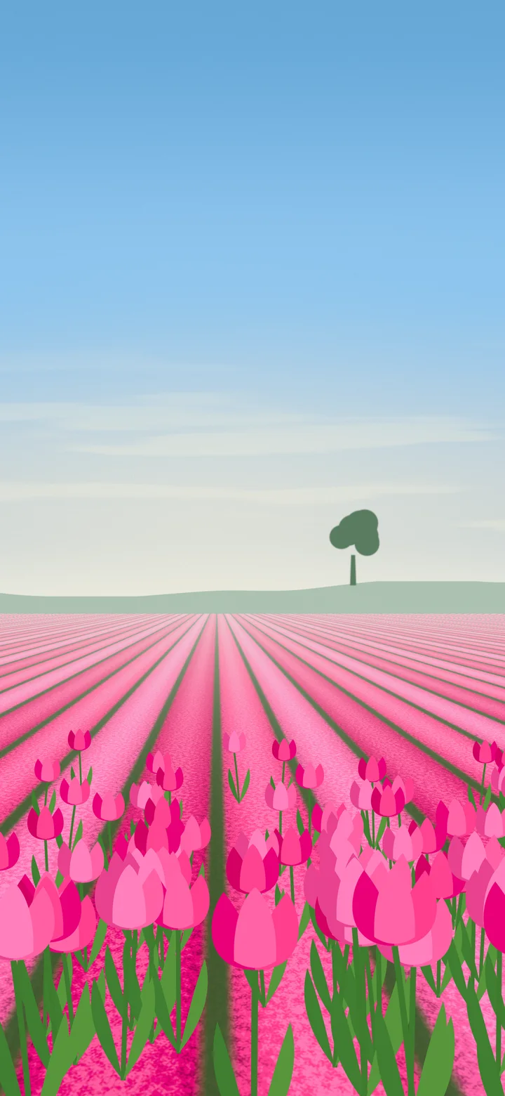 Hot Pink Tulip Field wallpaper for iPhone and Android