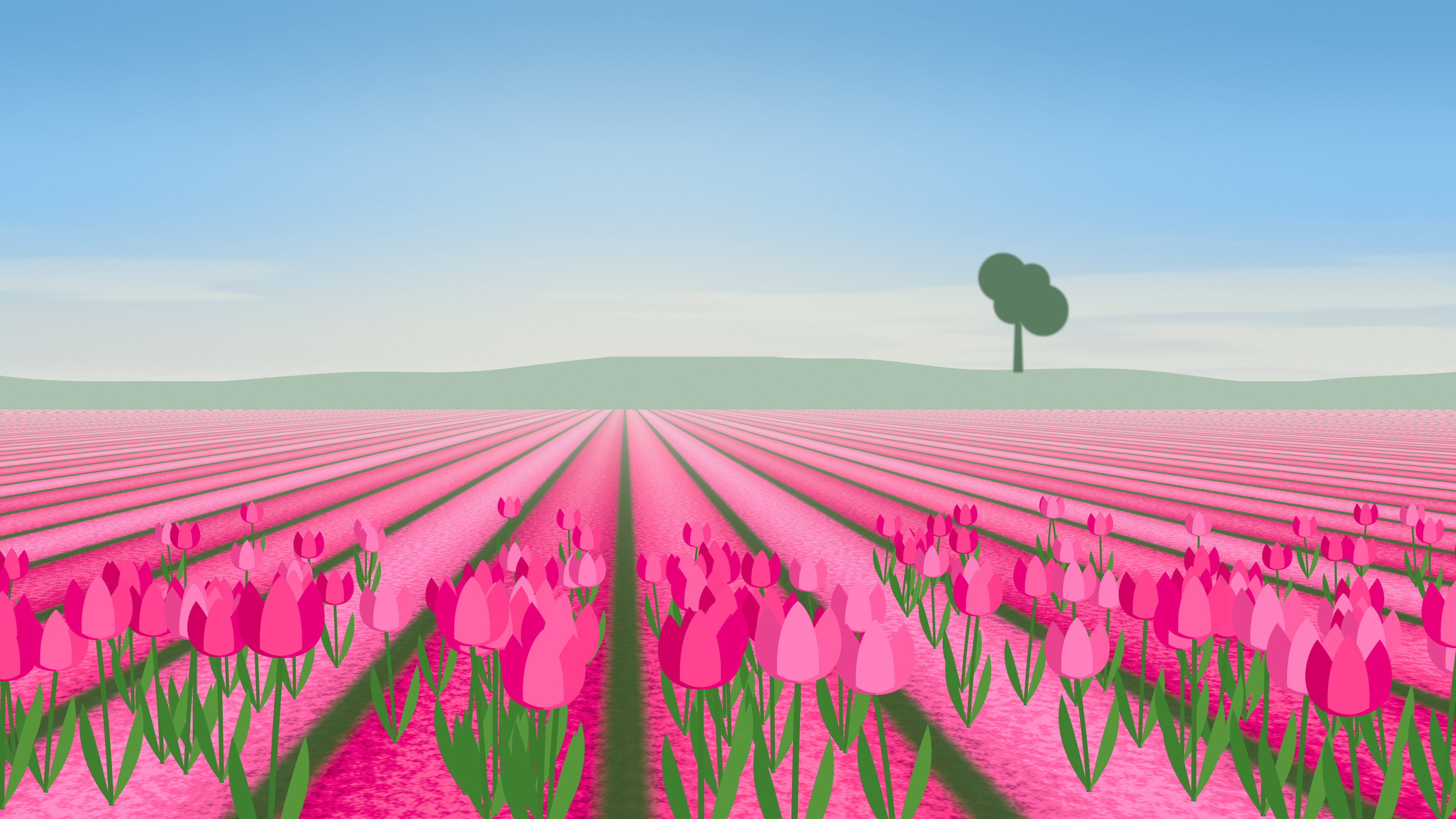 Hot Pink Tulip Field desktop wallpaper in 4K