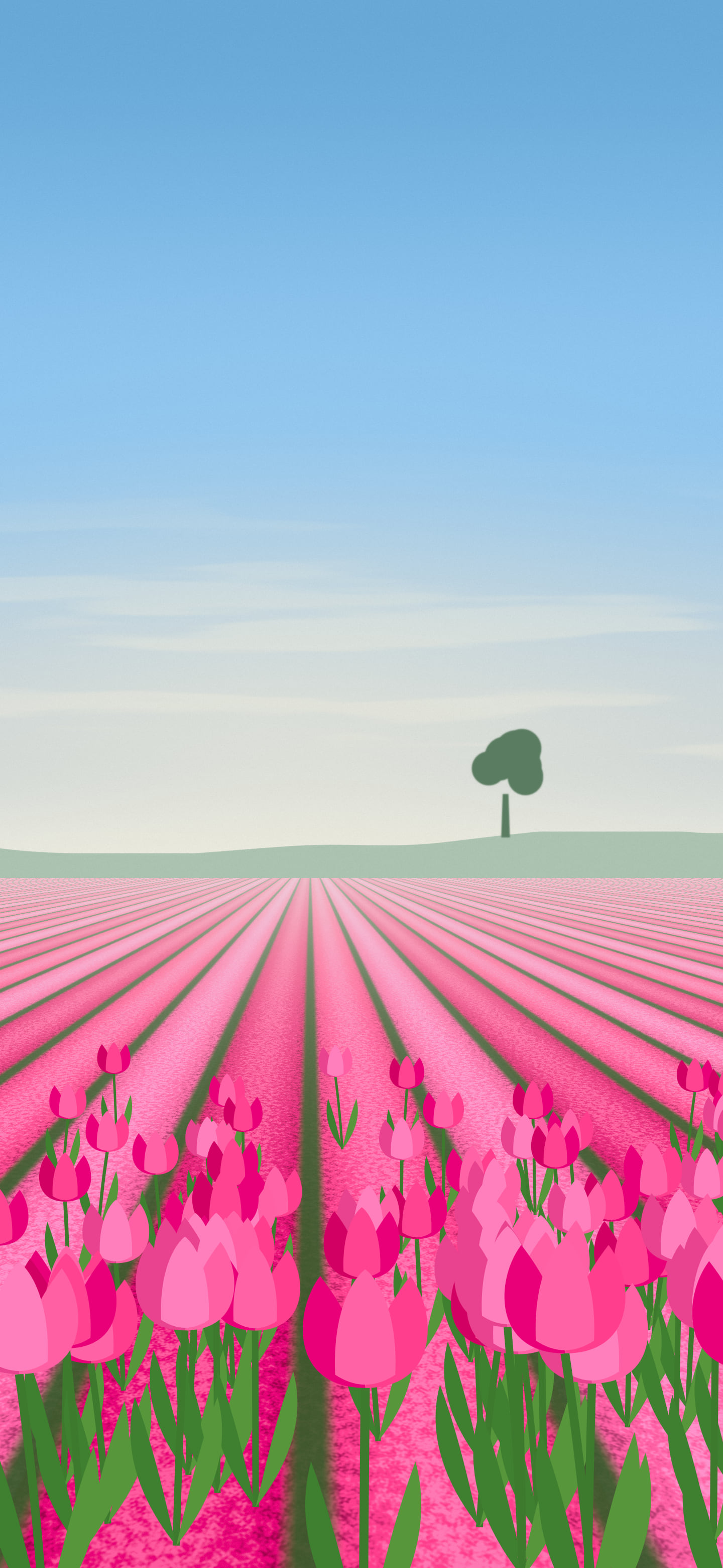 Hot Pink Tulip Field wallpaper for iPhone and Android