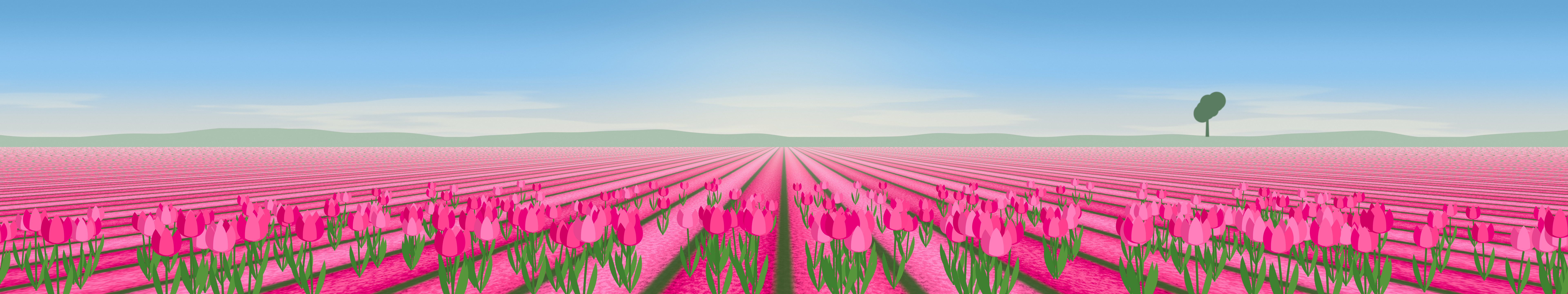 Hot Pink Tulip Field triple monitor wallpaper, 7680 × 1440