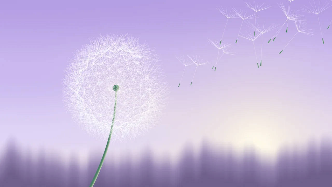Lavender Dandelion desktop wallpaper in 4K