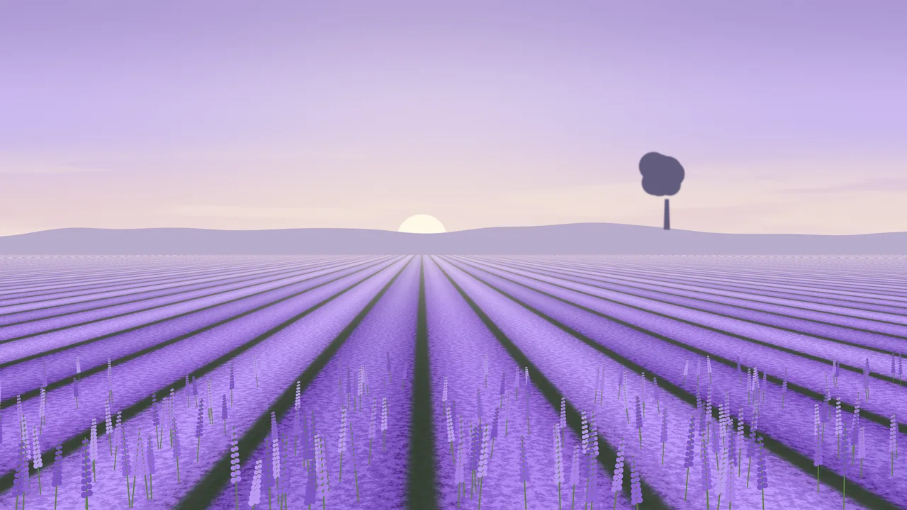 Lavender Field desktop wallpaper in 4K