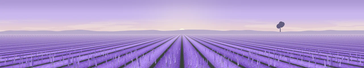 Lavender Field triple monitor wallpaper, 7680 × 1440