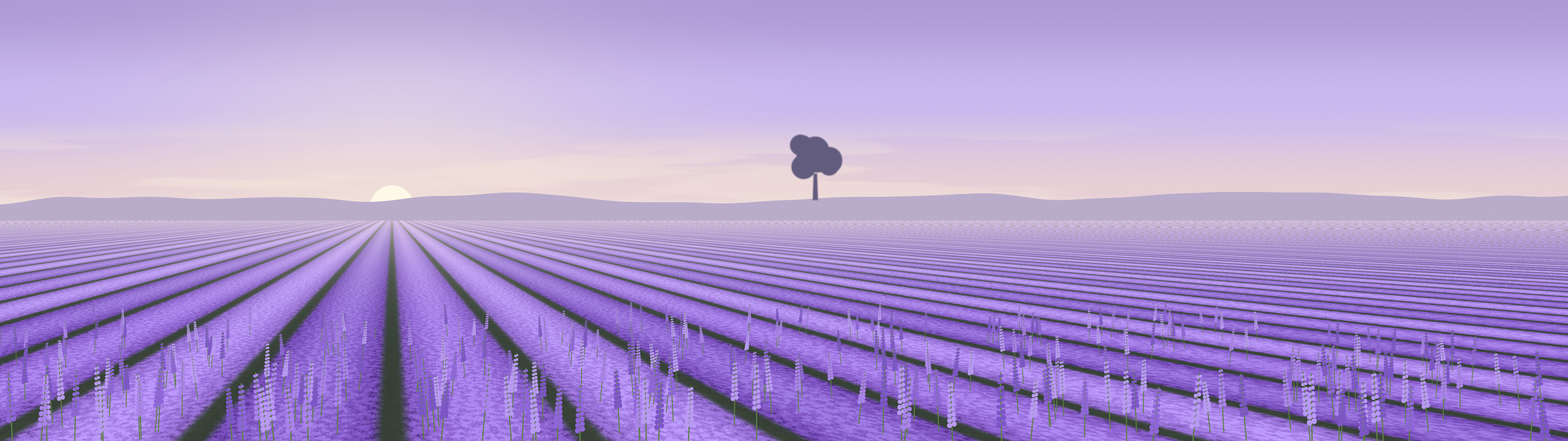 Lavender Field dual monitor wallpaper, 7680 × 2160