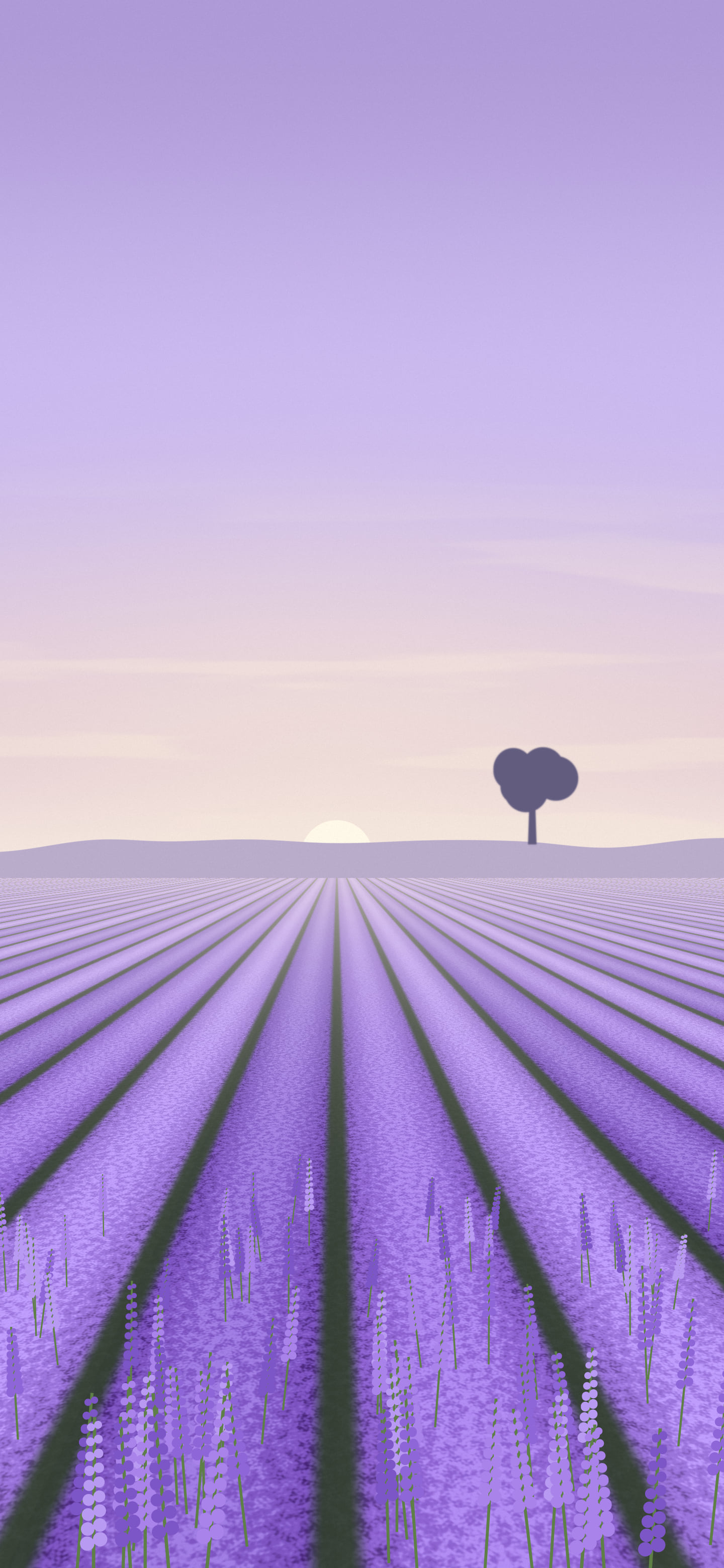 Lavender Field wallpaper for iPhone and Android
