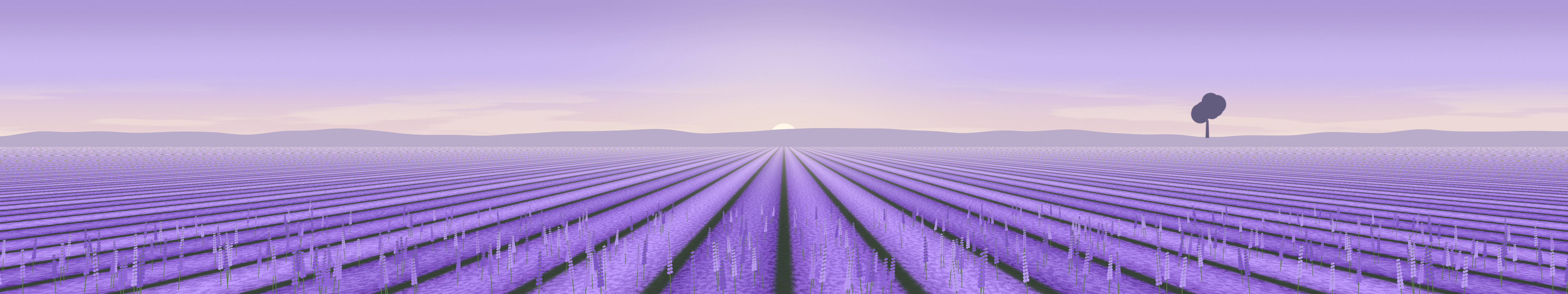 Lavender Field triple monitor wallpaper, 7680 × 1440