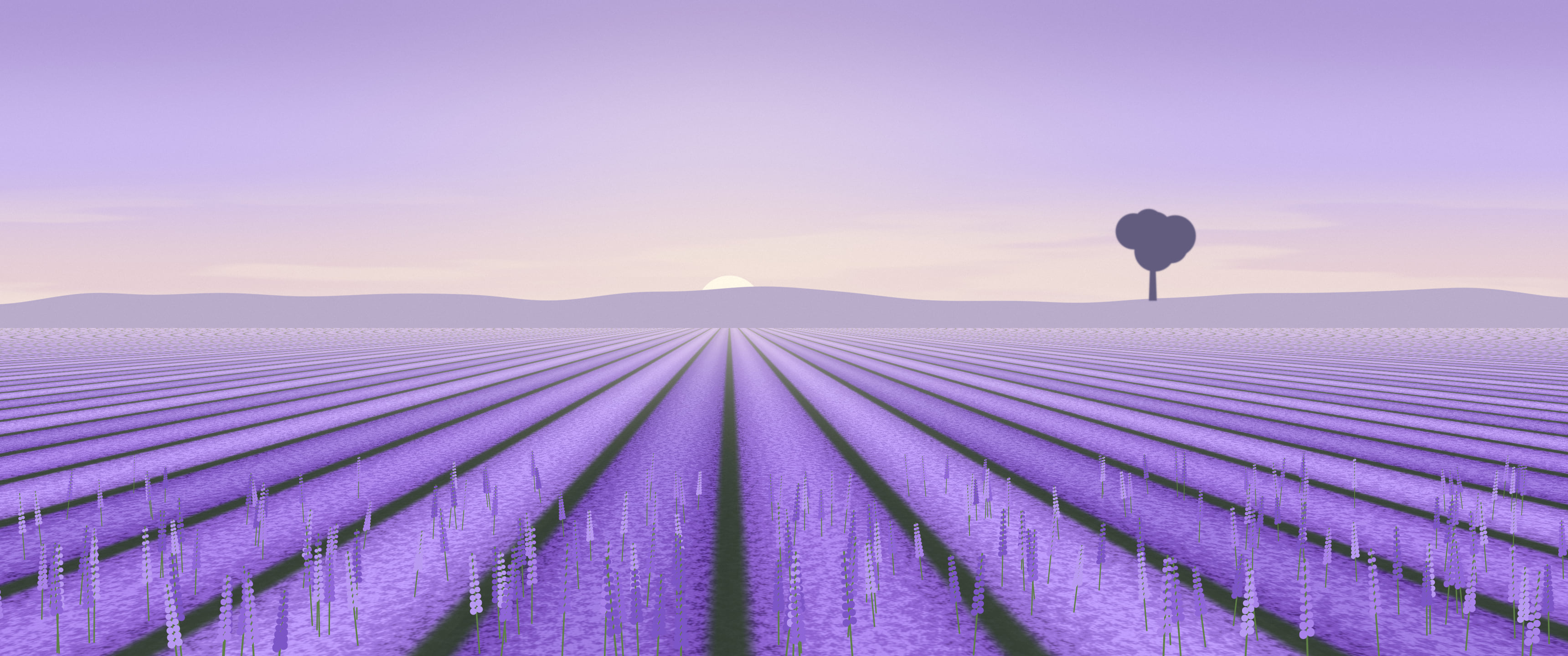 Lavender Field ultrawide wallpaper, 3440 × 1440