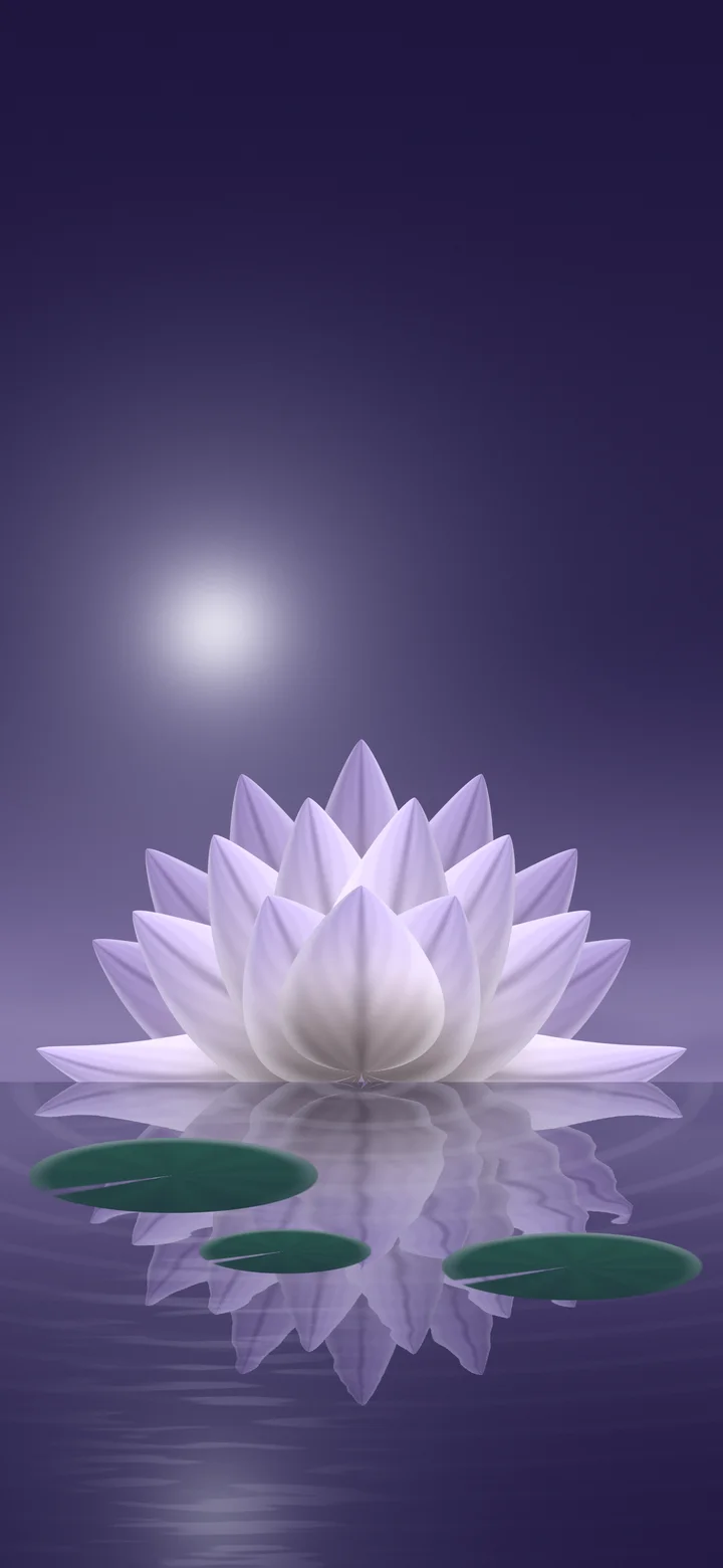 Lavender Lotus Flower wallpaper for iPhone and Android
