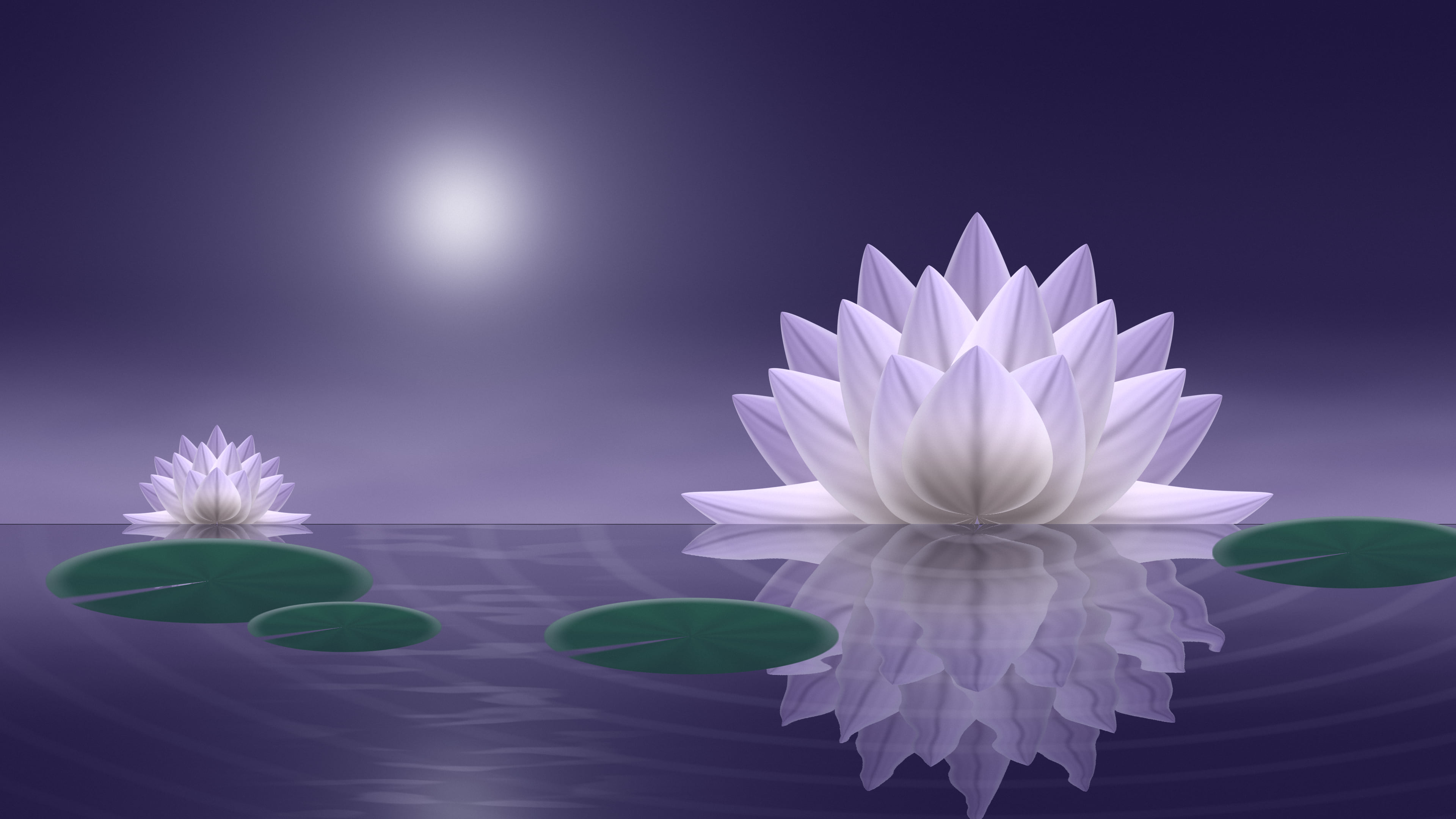 Lavender Lotus Flower desktop wallpaper in 4K