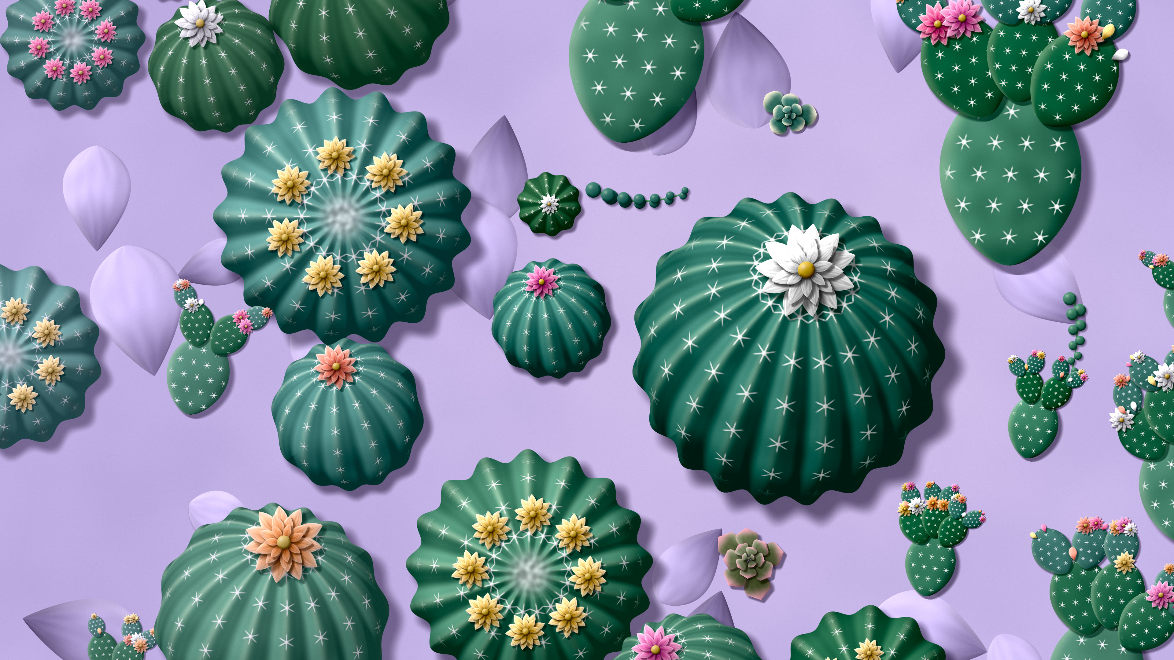 Lavender Paper Cactus and Succulents desktop wallpaper in 4K