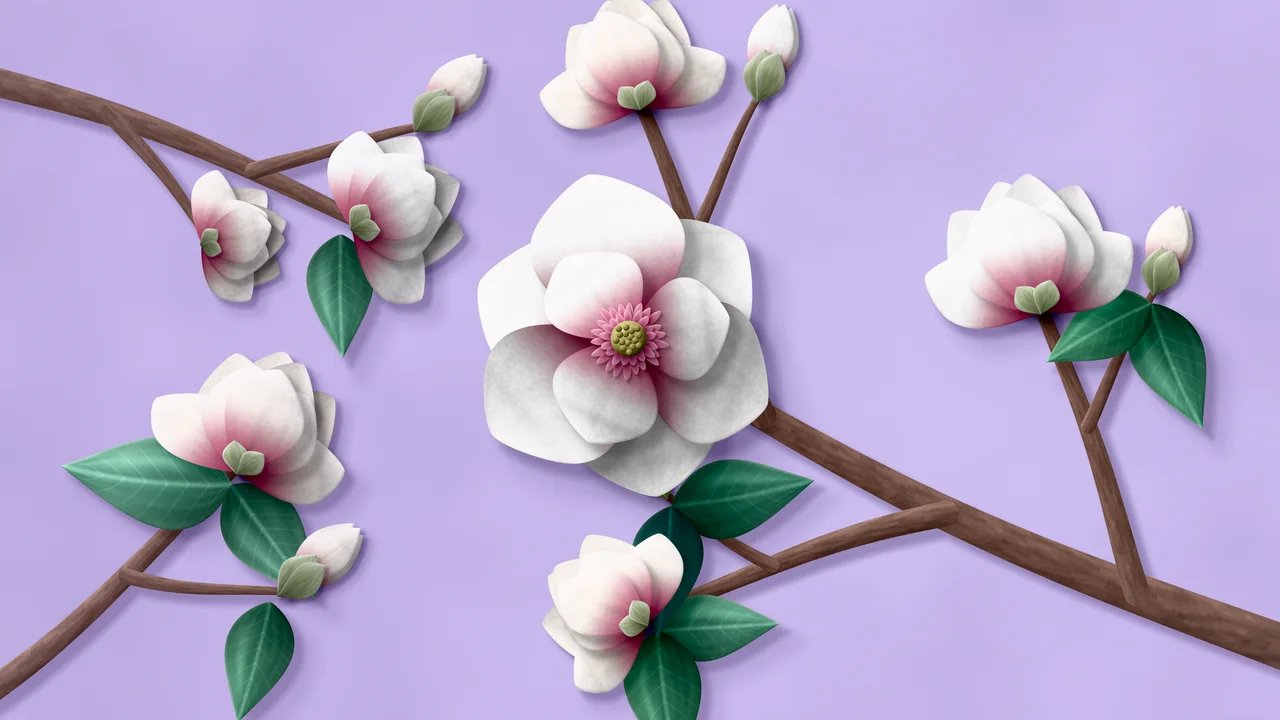 Lavender Paper Magnolia Branch desktop wallpaper in 4K
