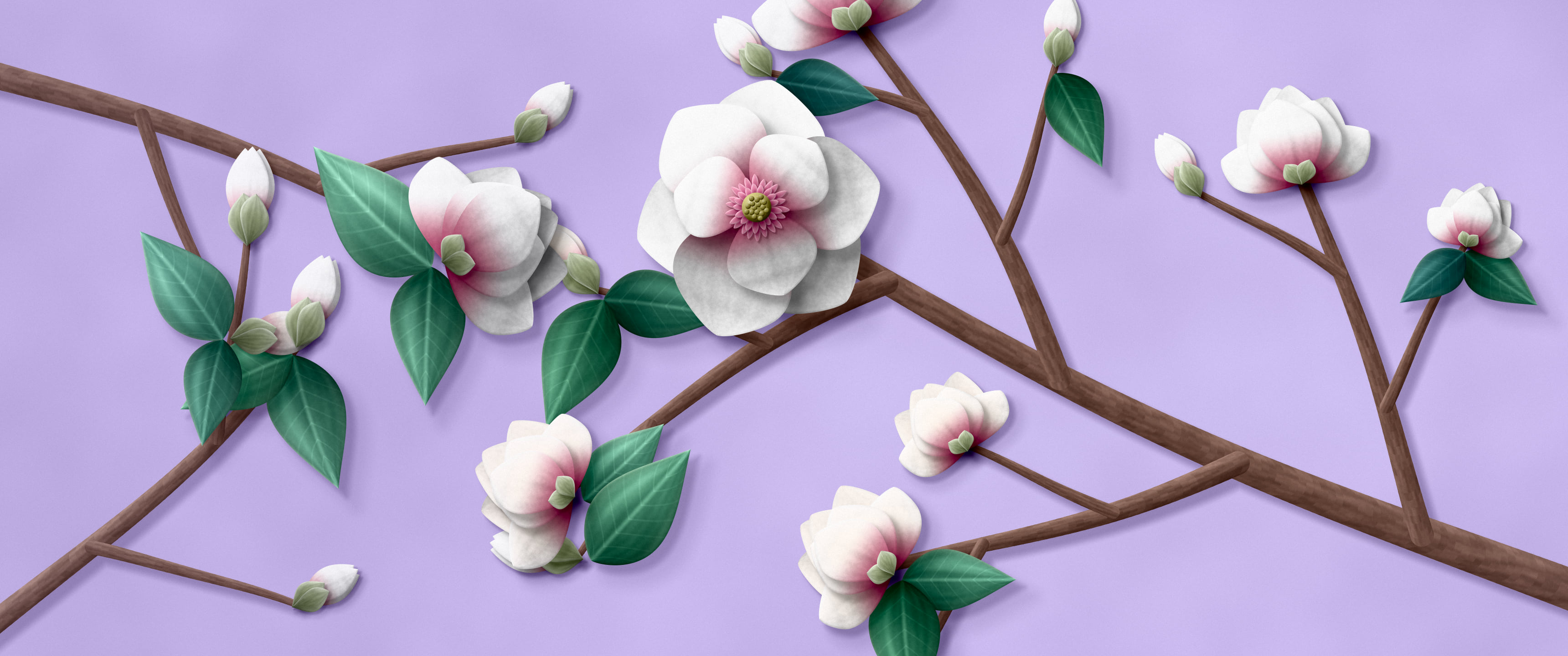 Lavender Paper Magnolia Branch ultrawide wallpaper, 3440 × 1440