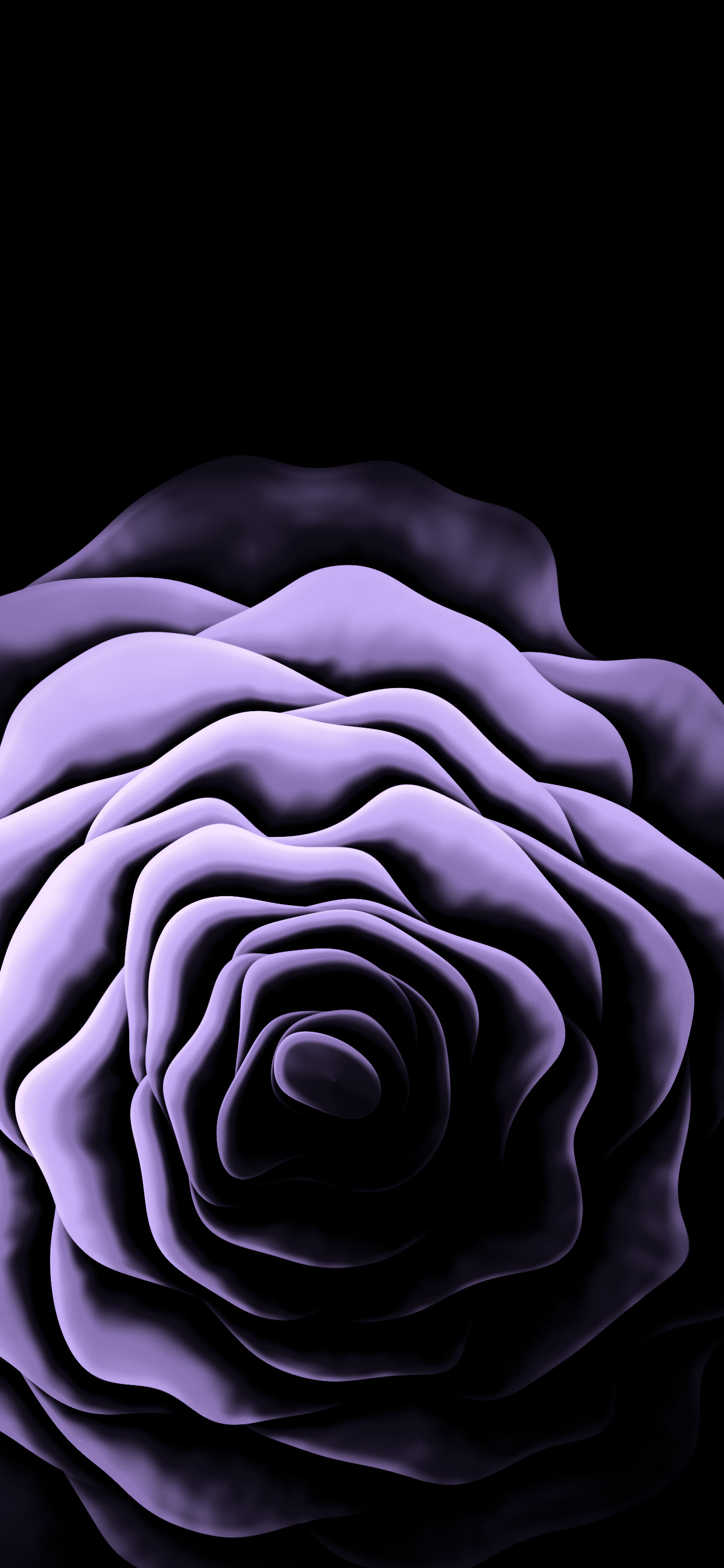 Lavender Rose from Above wallpaper for iPhone and Android
