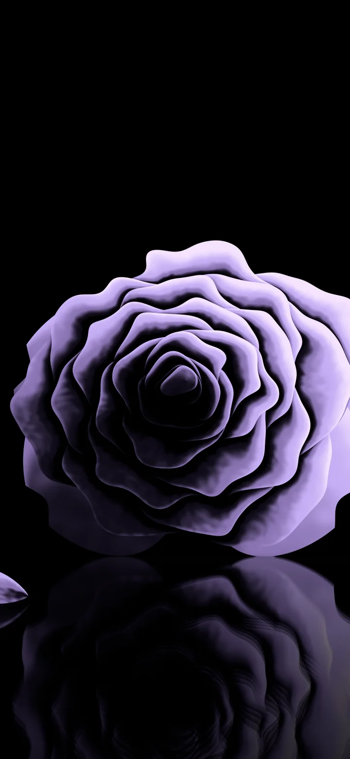 Lavender Rose Reflection wallpaper for iPhone and Android